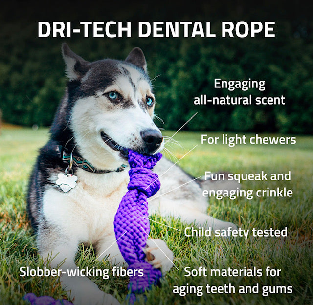 Playology Dri-Tech Dental Rope