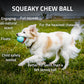 Playology Squeaky Chew Ball