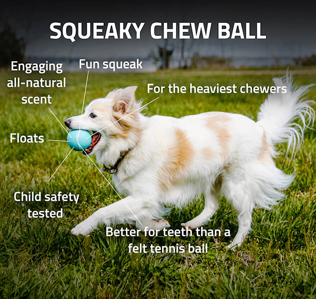 Playology Squeaky Chew Ball