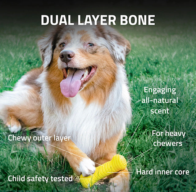 Playology Dual Layer Bone