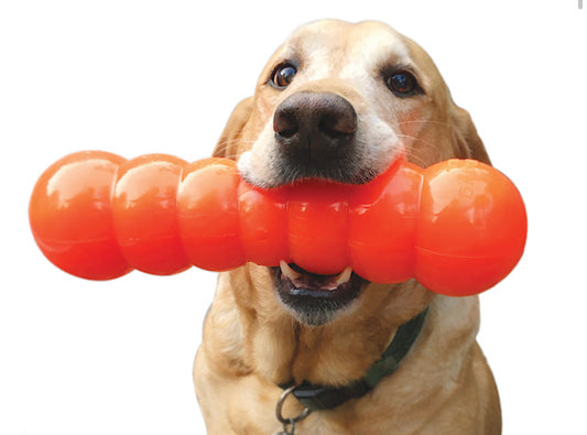 Ruff Dawg Dawg Buster