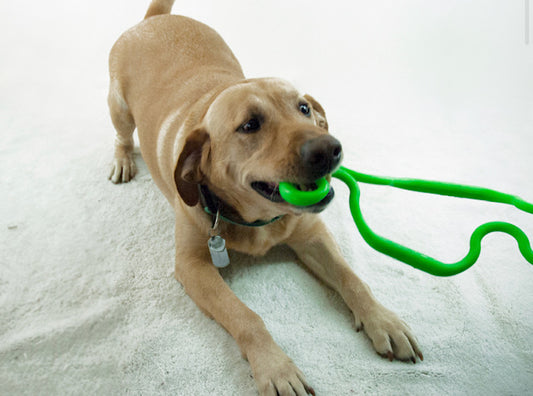 Ruff Dawg Super Tug