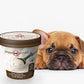 Puppy Scoops Ice Cream for Dogs