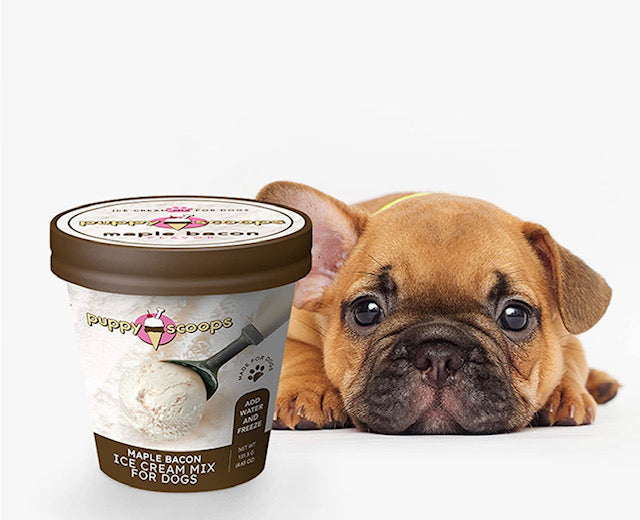 Puppy Scoops Ice Cream for Dogs