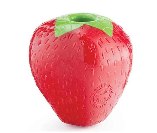 Orbee-Tuff Strawberry Treat-Dispensing Dog Chew Toy, Pink