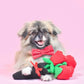 Bouquet of Roses Squeaker Toy