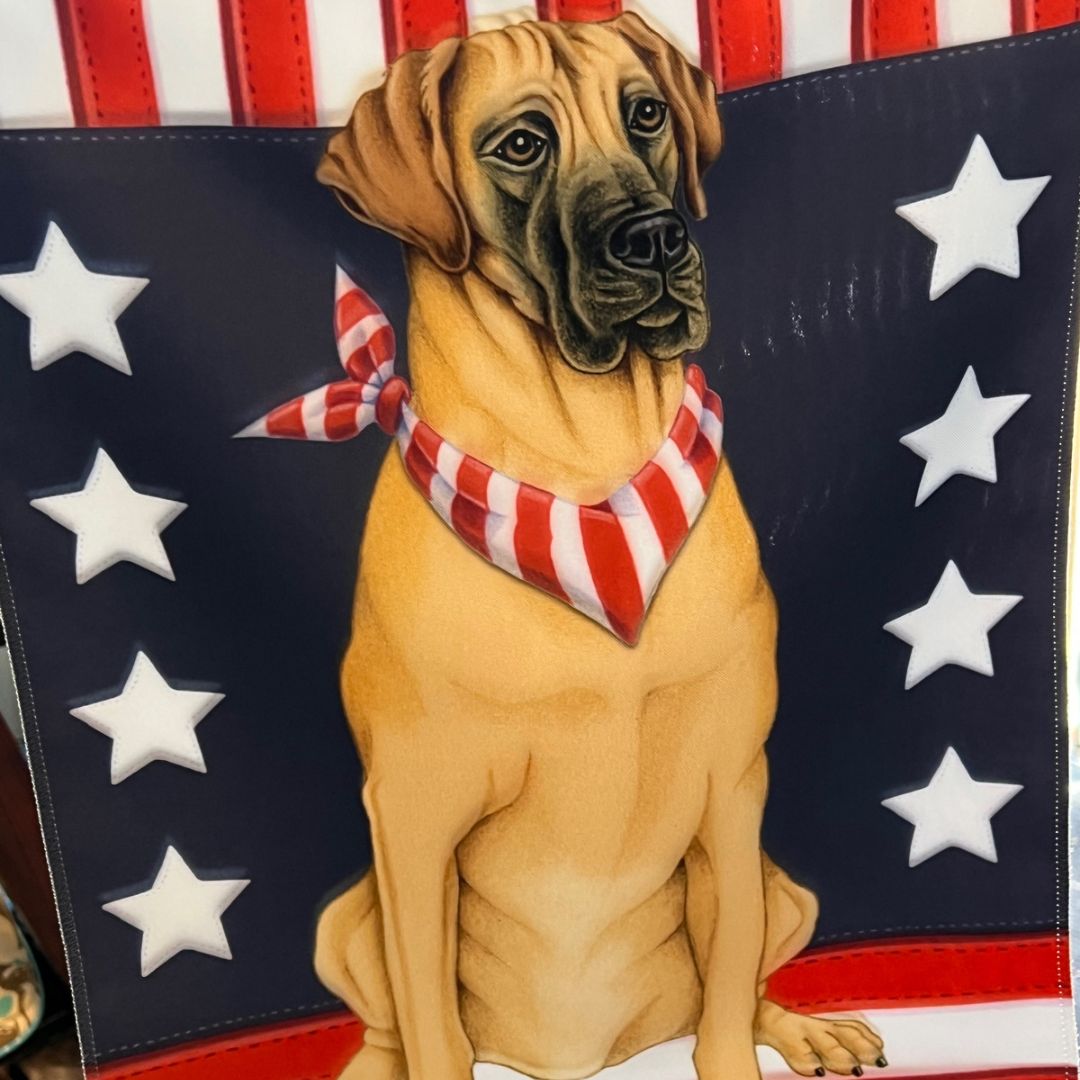 Mastiff American Flag